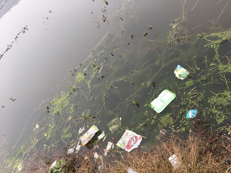 生物毒性檢測儀測定受污染水體的急性毒性