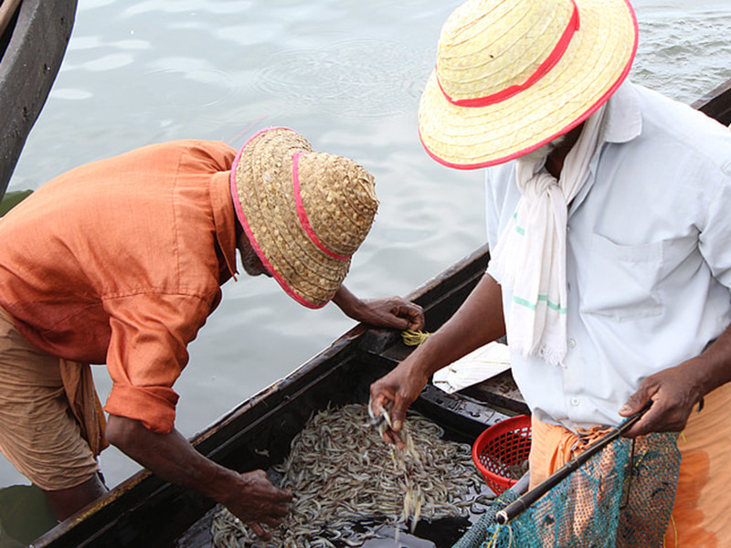 余氯檢測(cè)儀對(duì)水產(chǎn)養(yǎng)殖有什么幫助？
