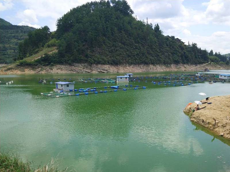 怎么快速去除氨氮 氨氮超標(biāo)的解決方法