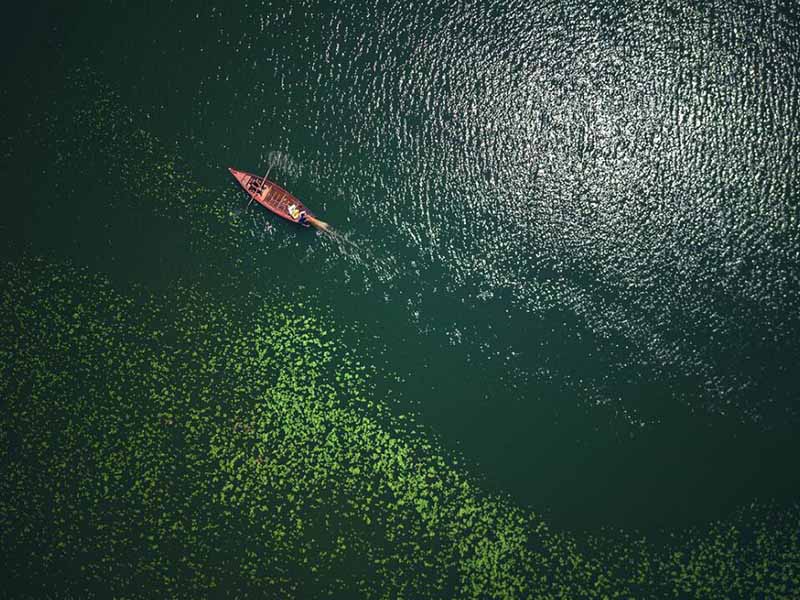 水體葉綠素a測(cè)定方法有哪些