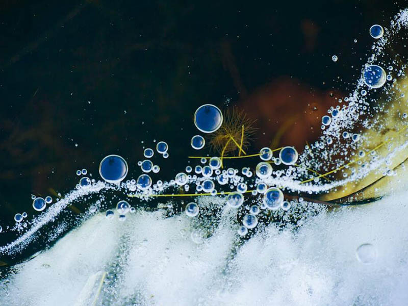 水質(zhì)微生物檢測基本原理（水質(zhì)常規(guī)微生物檢測指標(biāo)有哪些）
