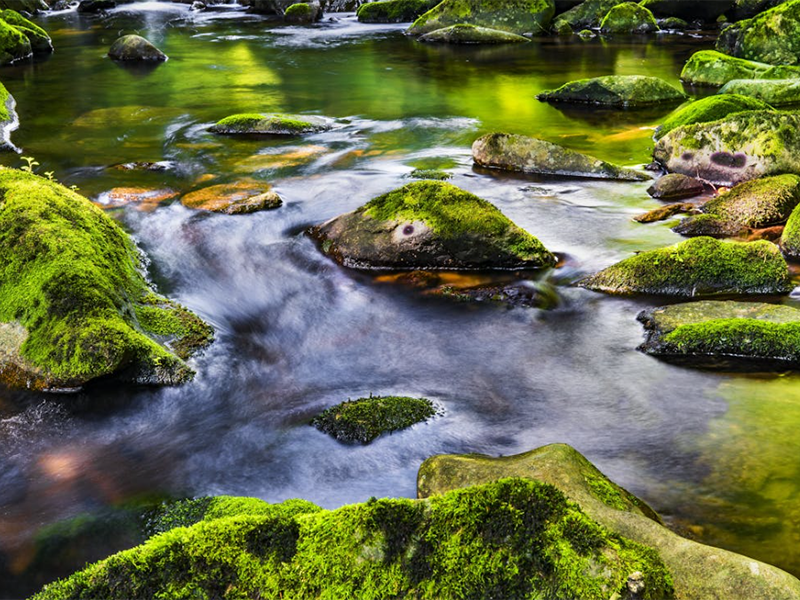 氨氮測定儀操作步驟(氨氮測定儀維護與清潔)