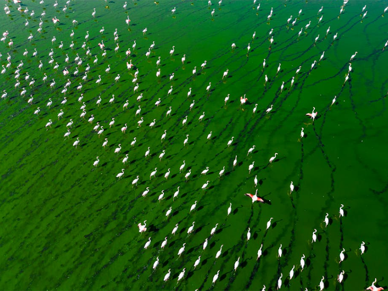 氨氮總氮檢測(cè)儀類(lèi)型(氨氮總氮檢測(cè)儀適用場(chǎng)景)